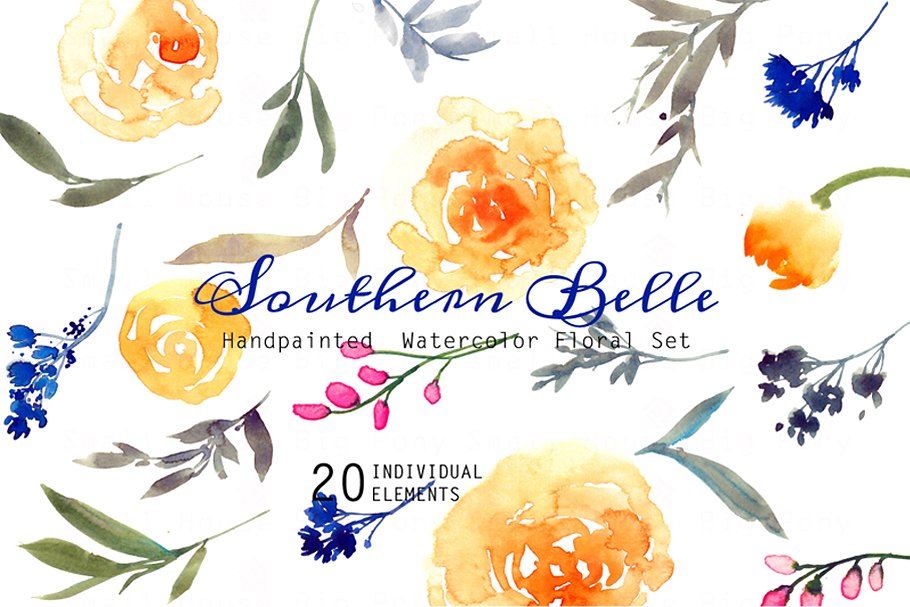 水彩手绘江南彩色花卉插画 Southern Belle – Watercolor Floral S插图(4)