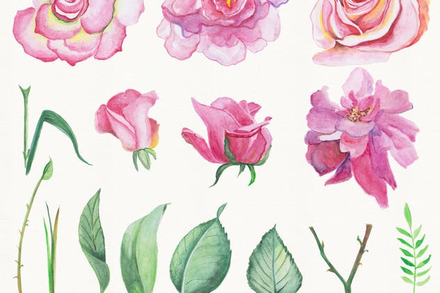 高品质花卉水彩DIY剪贴画合集 Watercolor DIY Pack插图(2)