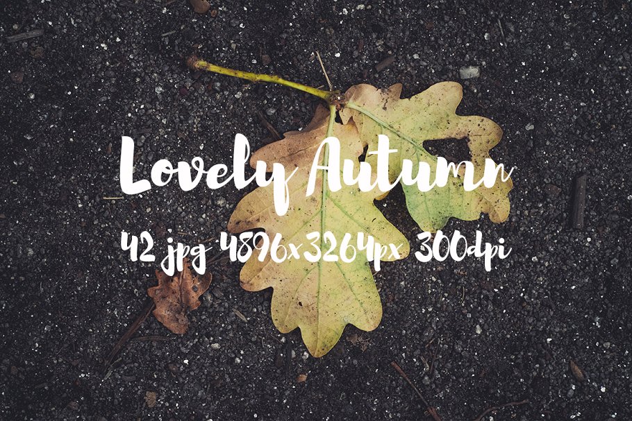 可爱秋天主题高清照片素材 Lovely autumn photo bundle插图9