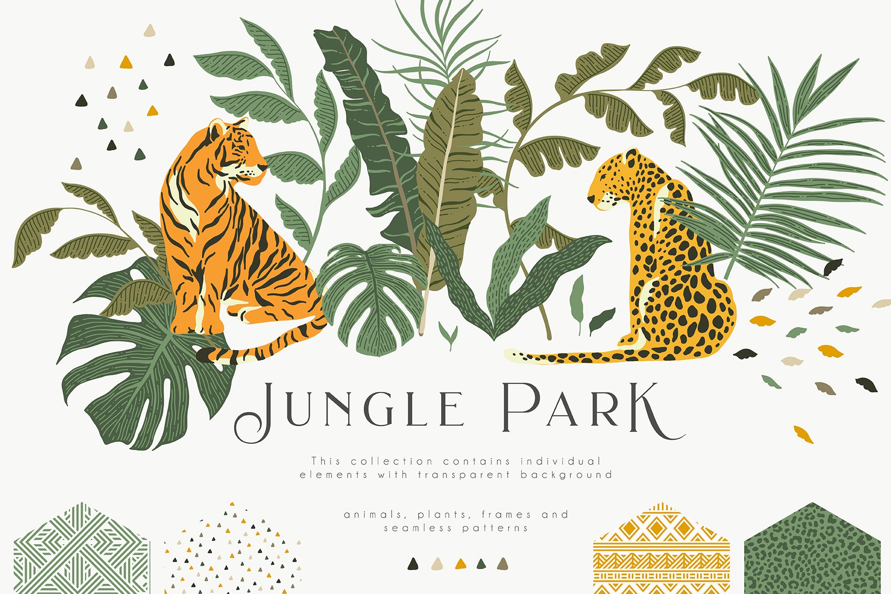 jungle-park-first-image-