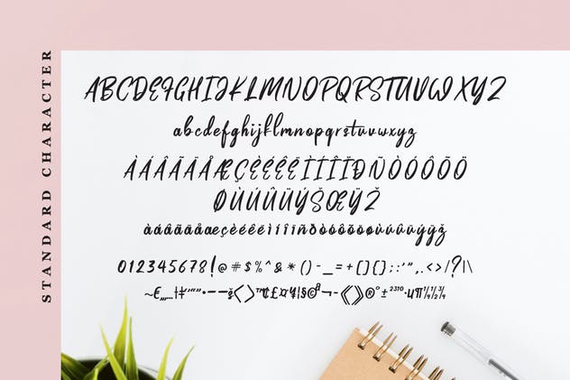 充满爱意独特设计英文手写字体 Pinkalova – Handwritting Script Font插图4