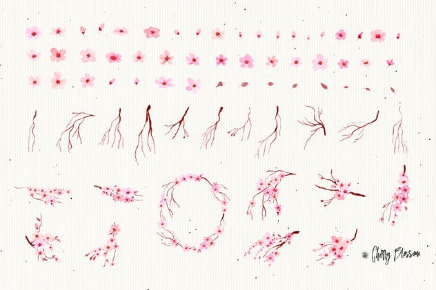 樱花水彩手绘插画设计素材 Cherry Blossom Flowers插图(5)