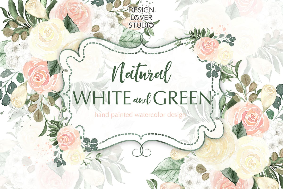 白色&绿色水彩花卉设计插画素材 Watercolor flowers white and green design插图