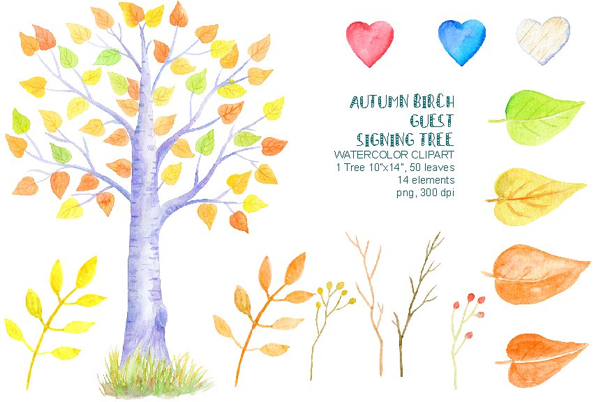 水彩秋季桦木客人签名树插画 Autumn Birch Guest Signing Tree插图