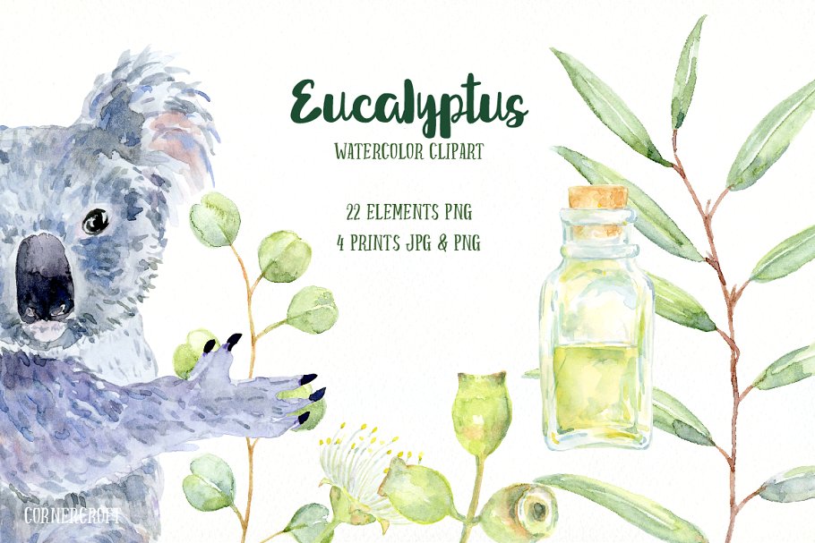 桉树与考拉水彩剪贴画 Watercolor Eucalyptus Koala Clip Art插图