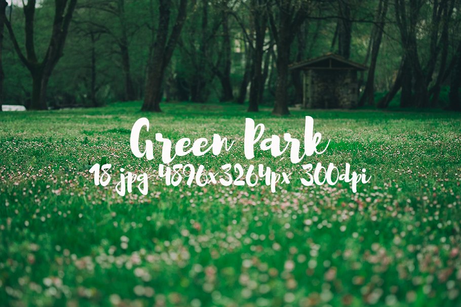 生机勃勃的公园景象高清照片素材 Green Park bundle插图7