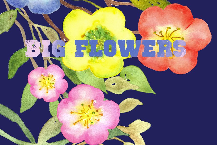 水彩手绘花卉艺术剪贴画设计素材 Big Flowers watercolor clipart插图4