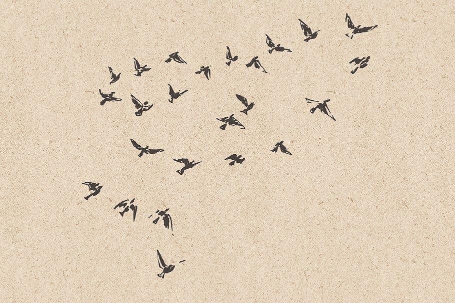 鸟群素描设计素材 Flocks of birds, sketch style插图(9)