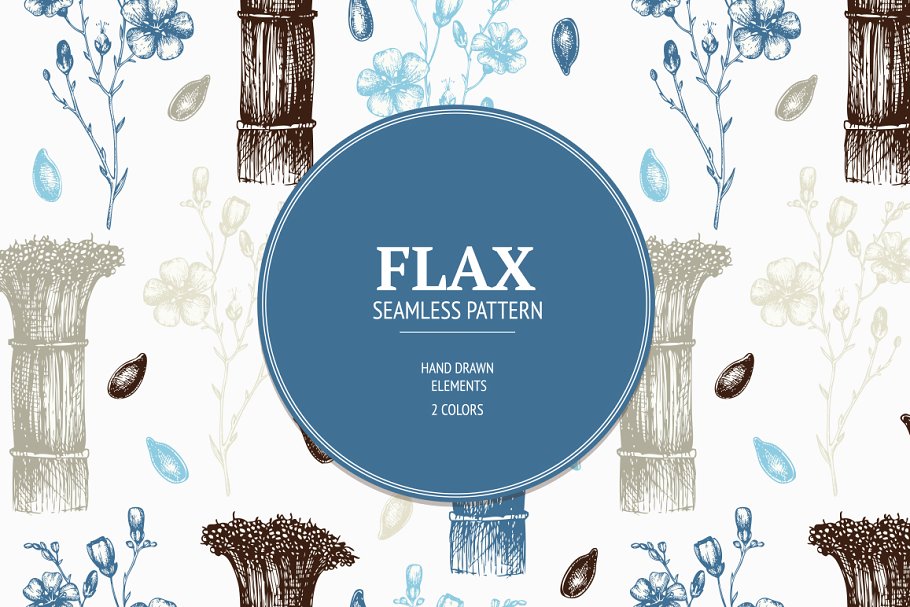复古亚麻植物插画素材 Vintage Flax Illustrations插图(2)