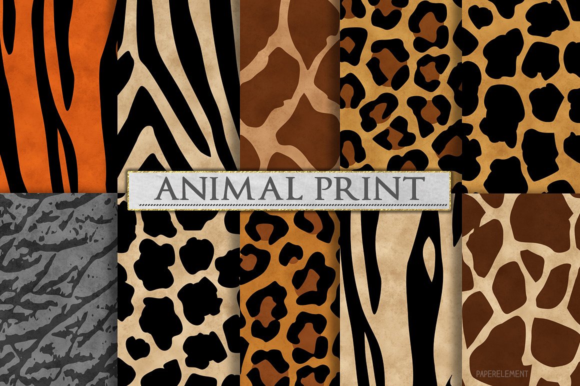 创意动物斑点花纹图案纹理 Animal Print Patterns – Zebra Print插图