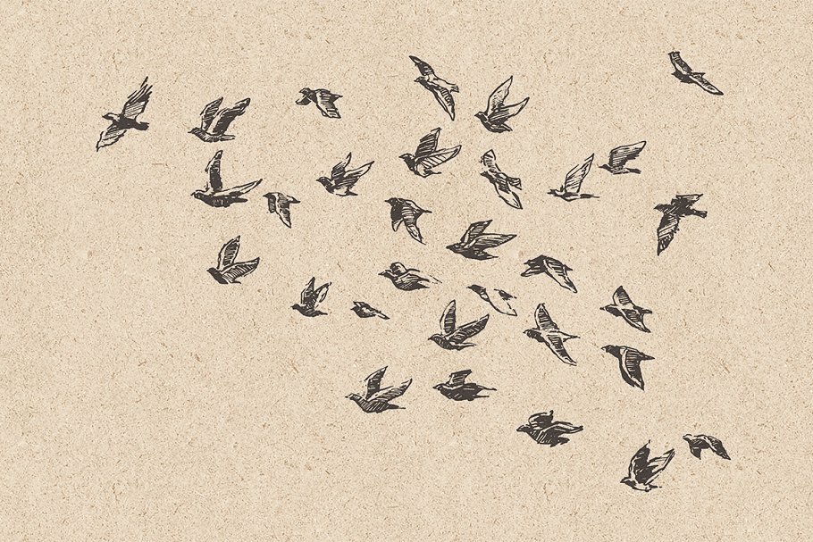 鸟群素描设计素材 Flocks of birds, sketch style插图(3)