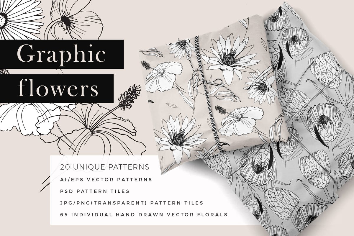 创意手绘花卉插画图案纹理素材 Graphic Flowers Patterns & Elements插图