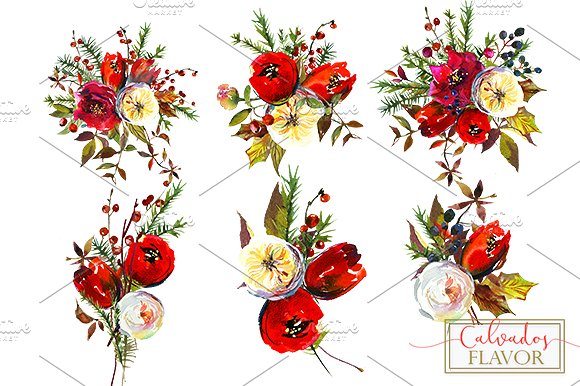 冬季红色水彩花卉剪贴画合集 Red Winter Flowers Clipart Set插图(19)