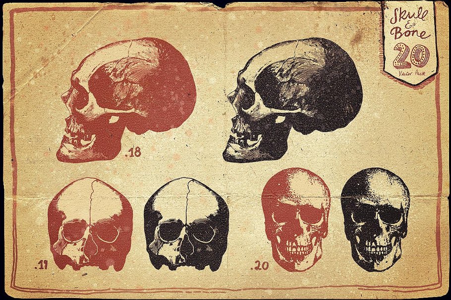 万圣节骷髅头矢量图形合集 Vintage Skull and Bone Vector pack插图(9)