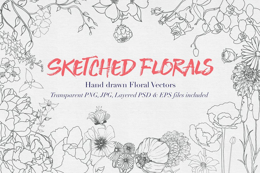 铅笔手绘素描矢量花卉素材 Hand drawn Sketched Flower Vectors插图