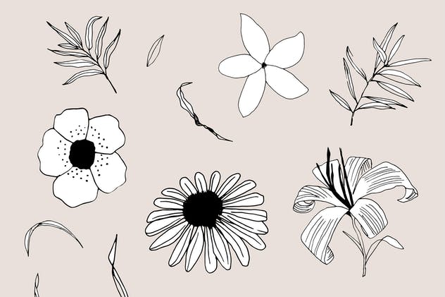 创意手绘花卉插画图案纹理素材 Graphic Flowers Patterns & Elements插图12
