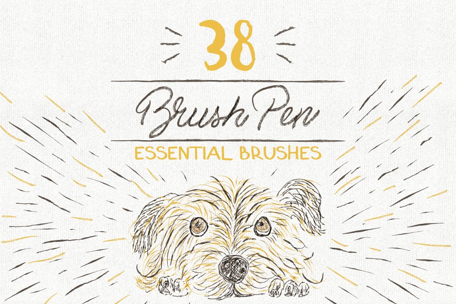 各种类型笔画AI笔刷大杂烩[水彩笔/刷笔/铅笔/木炭笔/记号笔] Essential Vector Brushes Collection插图4