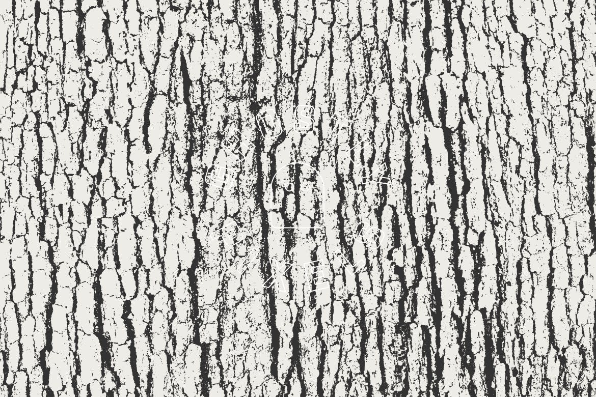 5款逼真树皮纹理肌理矢量背景素材 Tree Bark Textures插图3