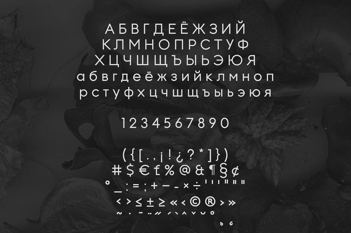 几何形状无衬线字体 Kontora typeface插图(7)