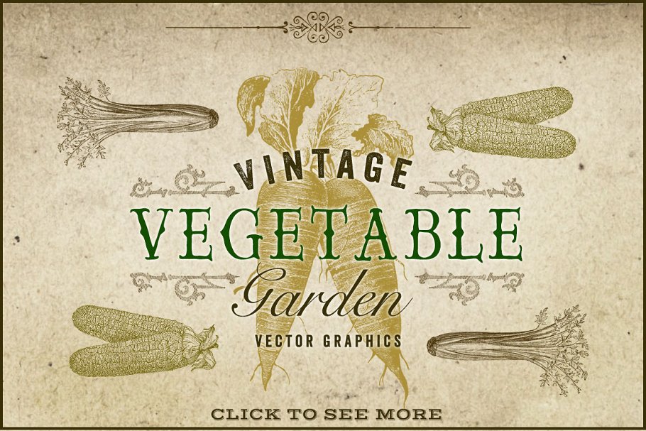 复古原始蔬菜植物矢量插图 Vintage Vegetable Garden Graphics插图1