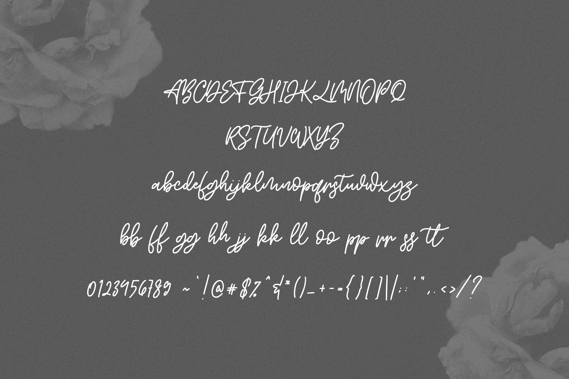 英文手写字体&印刷版式设计衬线字体二重奏组合字体 Willys Script Serif Font插图7