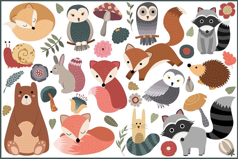45款林地动植物手绘图案设计元素 45 Woodland Designs & Patterns插图2
