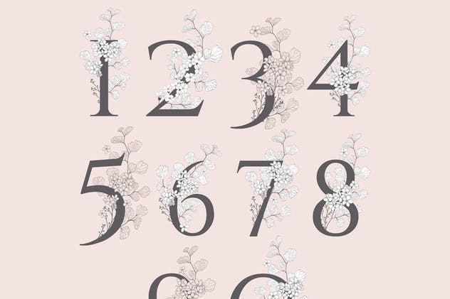 美丽盛开金色花卉字母数字图集 Blooming Gold Floral Letters Numbers插图(7)