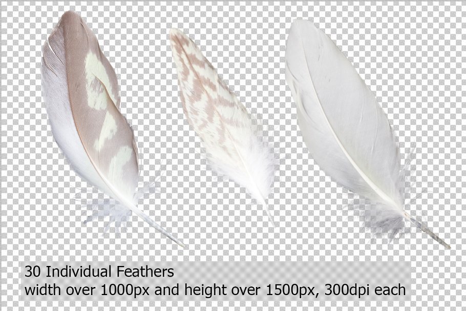 5K高清分辨率羽毛叠层背景 5K Feathers Overlays插图1