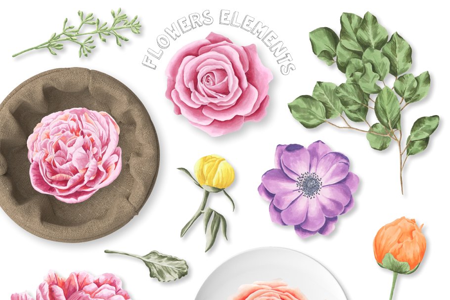 水彩马克笔花卉插画合集 Flower Marker Collection Pro插图1