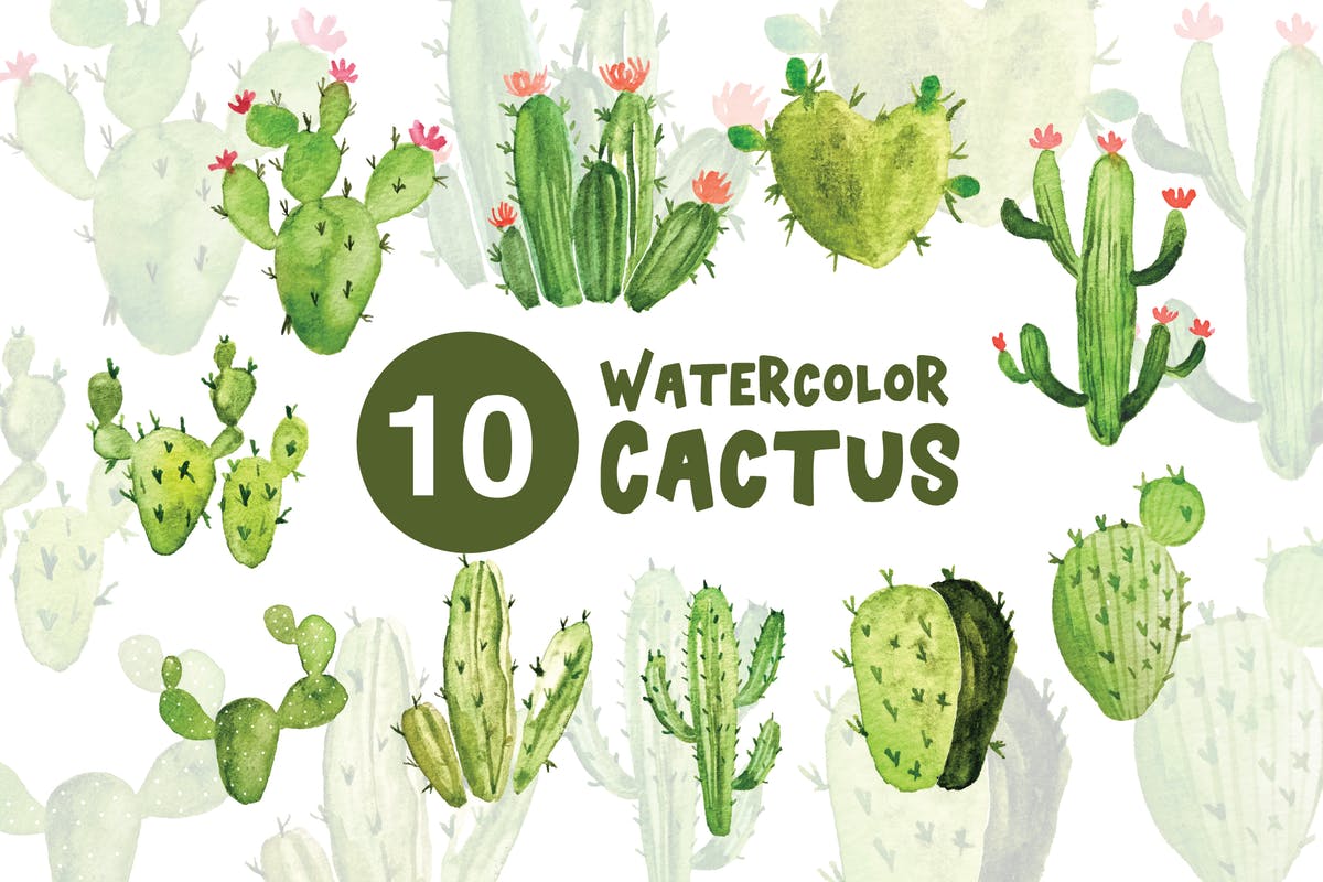10款绿色植物仙人掌水彩插画 10 Watercolor Cactus Illustrations插图