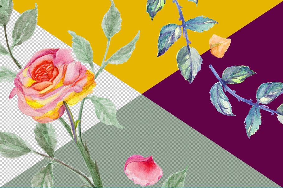 水彩玫瑰花设计DIY套装 Watercolor Roses DIY pack 22elements插图(4)