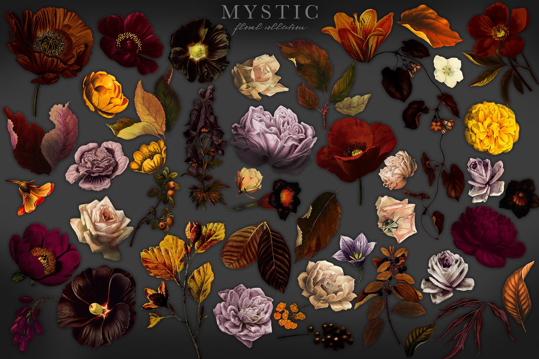 神秘花卉剪贴画艺术收藏 Mystic Floral Collection Clip Art插图3