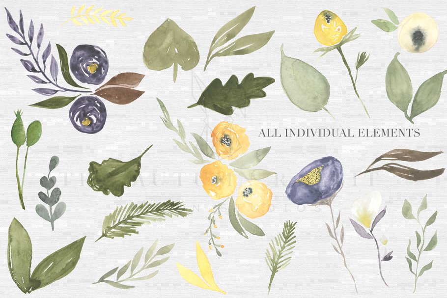 水彩芥末洋酒色花卉植物剪贴画合集 Mustard & wine Floral Clipart Set插图(1)