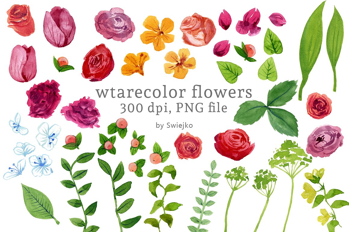 水彩花卉剪贴画 Watercolor Flowers插图