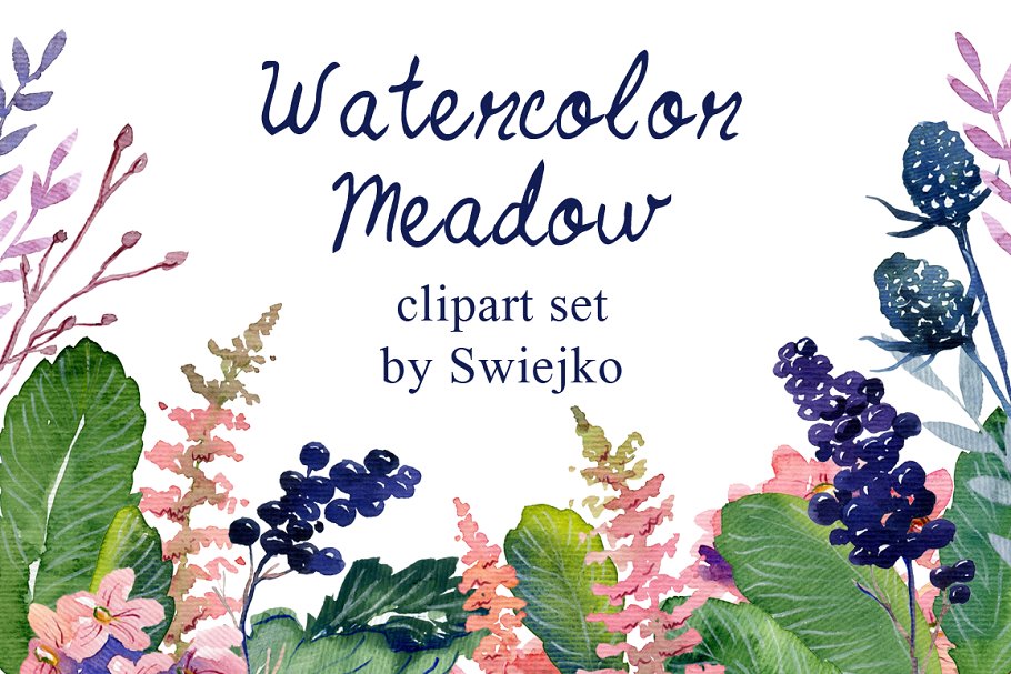 浪漫手绘乡村花卉浆果元素剪贴画 Watercolor floral set插图