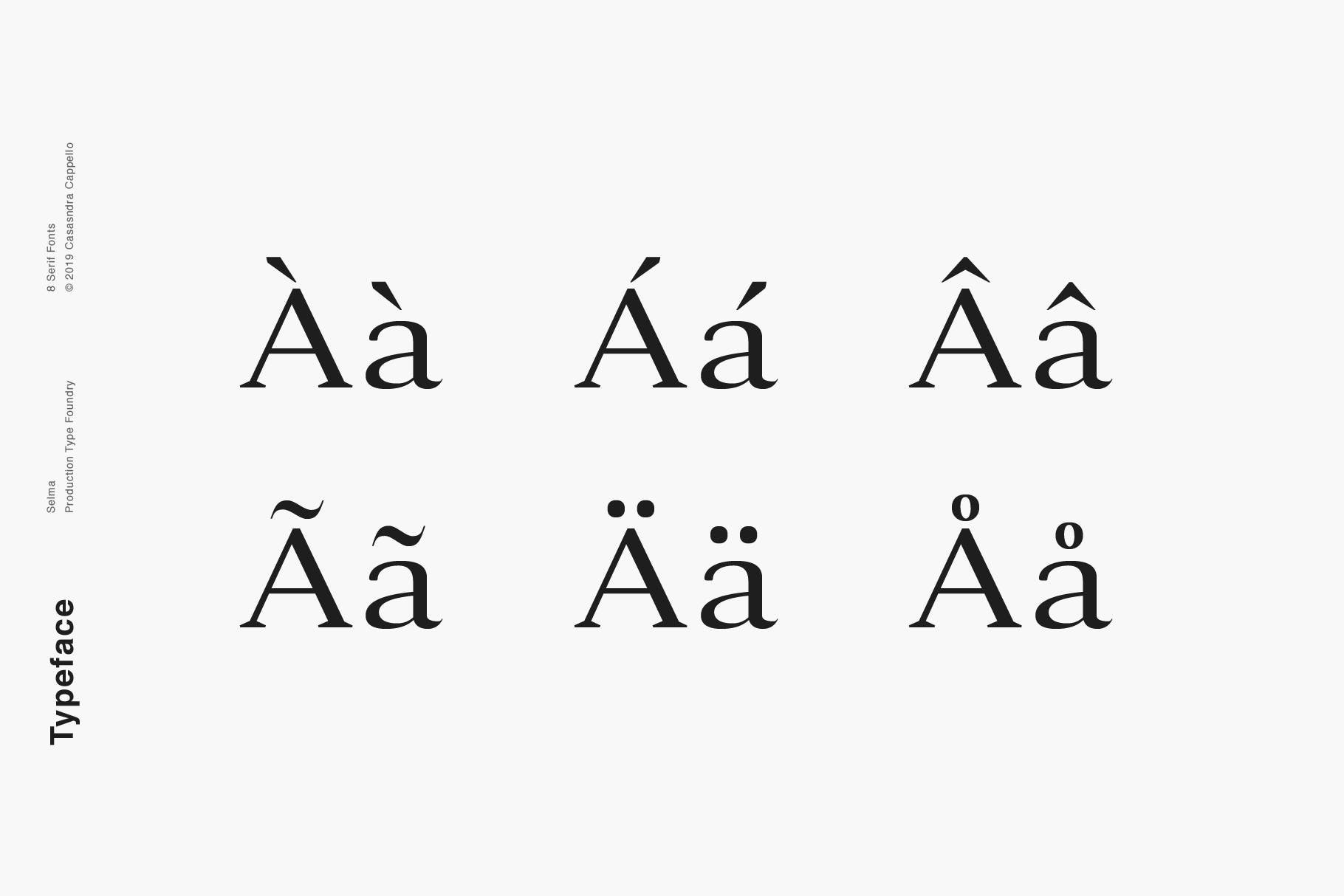 现代优雅英文衬线字体下载 Selma – A Classy Serif Typeface插图(3)