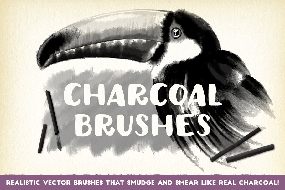 木炭画笔笔画AI笔刷 Charcoal Brushes插图