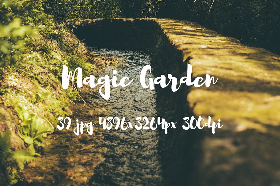 秘密花园花卉植物高清照片素材 Magic Garden photo pack插图(16)