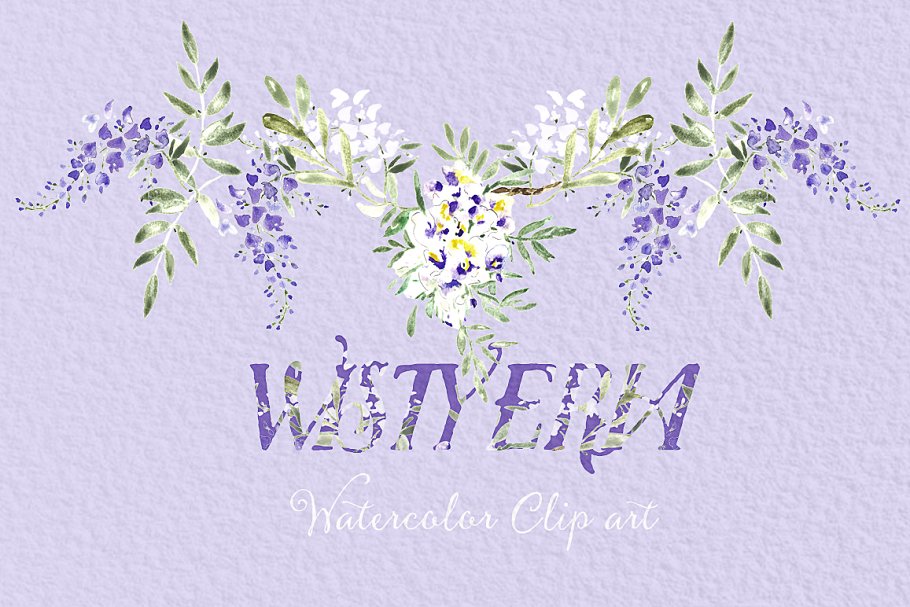 紫藤婚礼婚庆水彩画素材 Wisteria wedding watercolors插图5