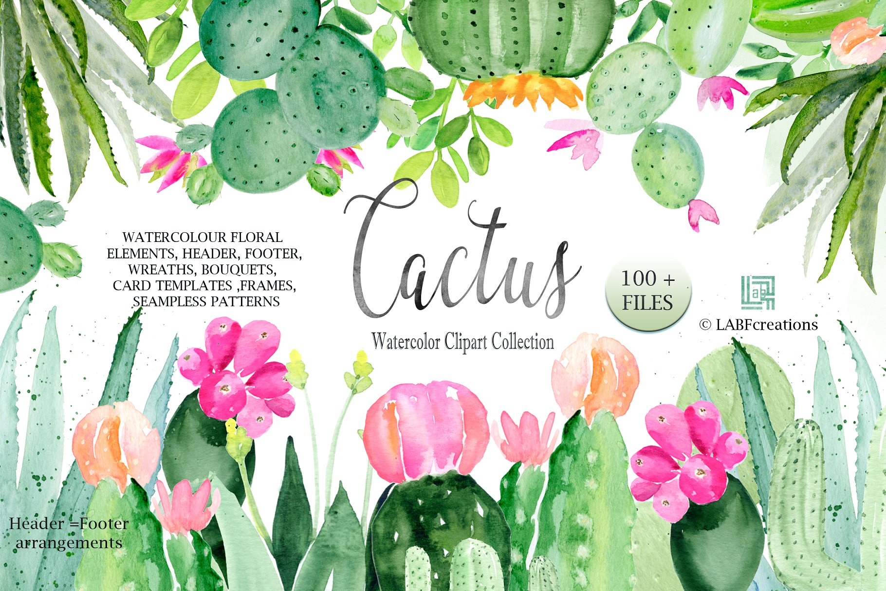 仙人掌水彩剪贴画合集 Cactus watercolr clipart collection插图3