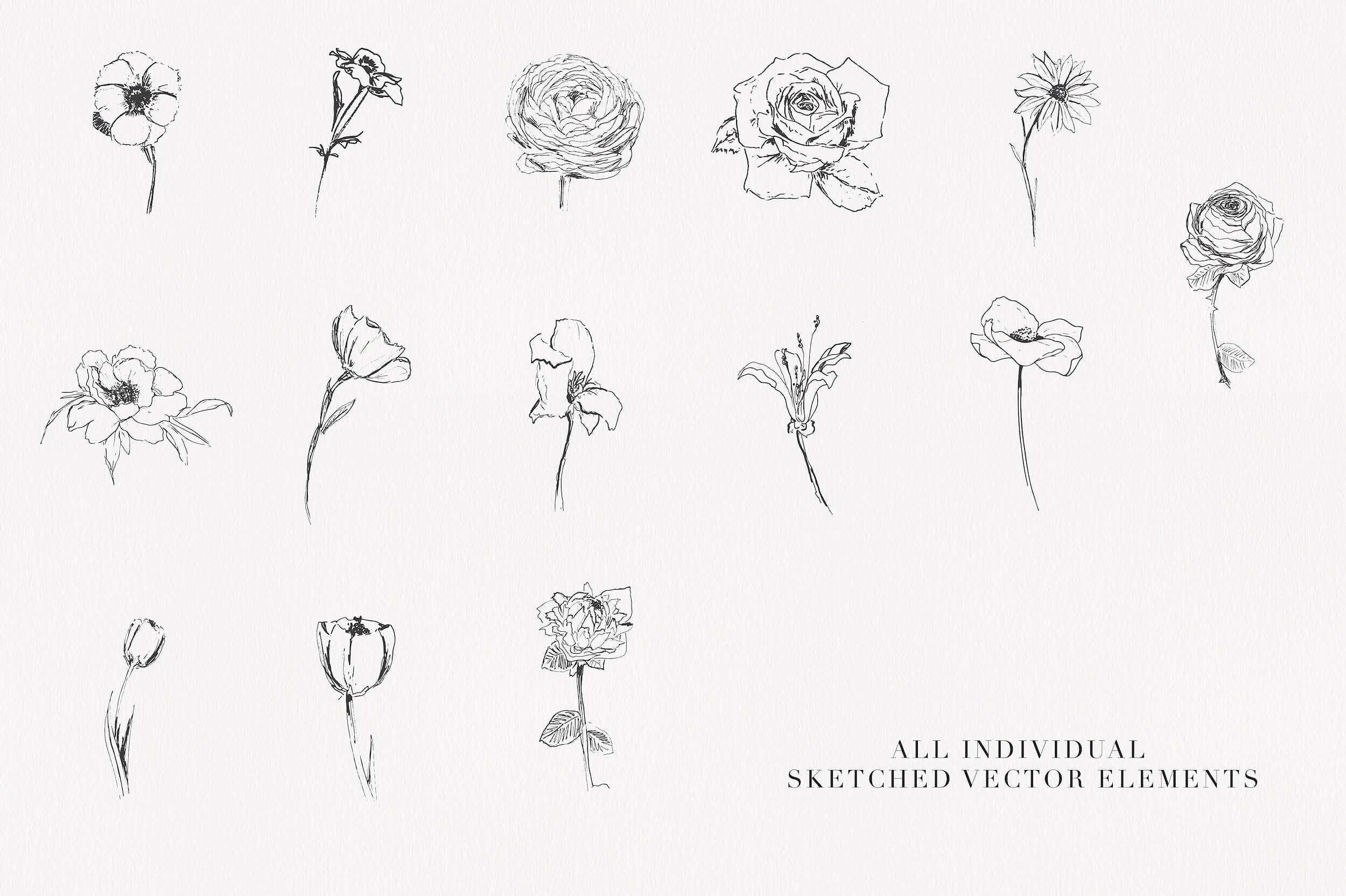 淡雅手绘素描花卉剪贴画 Bloom & Flourish – Floral Clipart插图(5)