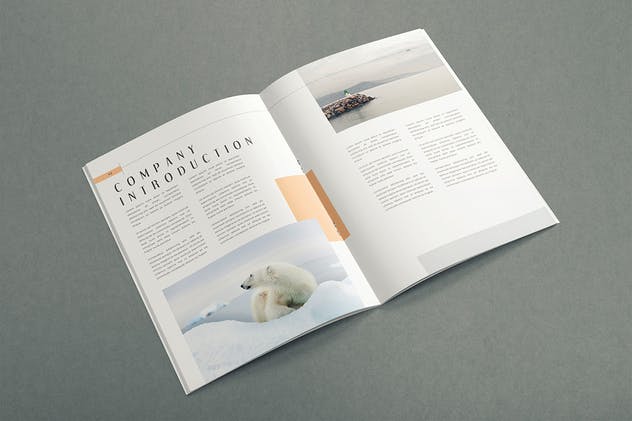 传统艺术品牌指南手册模板 Traditional Art – Brand Guideline Template插图3