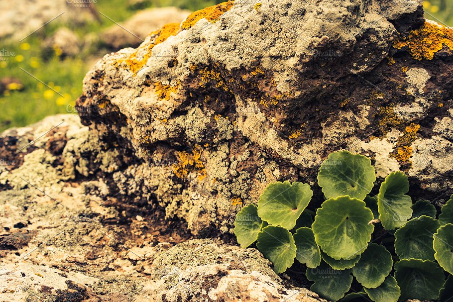 高清自然真实岩石石头照片素材 Rock Solid – Rock & Stone Collection插图7