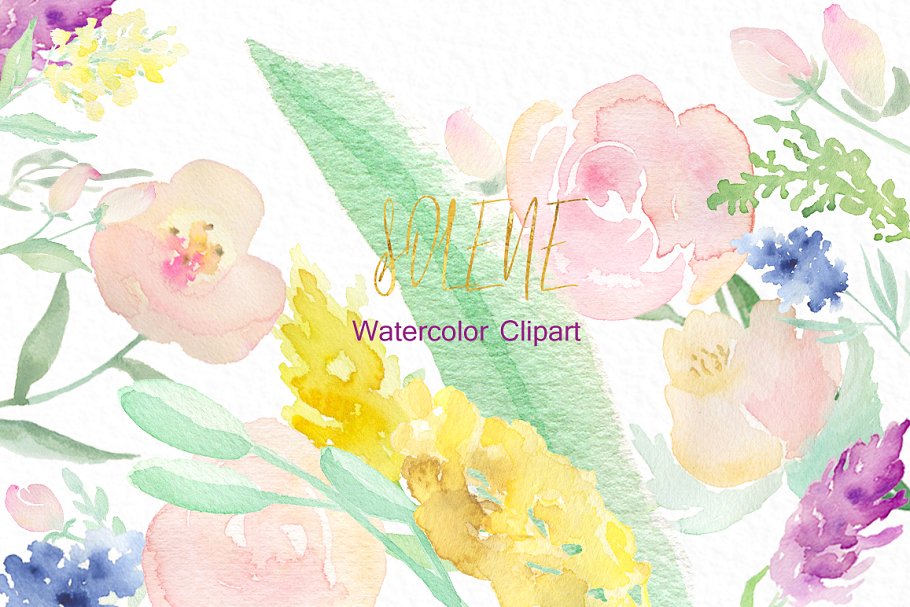 精致柔和的水彩花卉剪贴画合集 Soft pinkWatercolor flowers插图