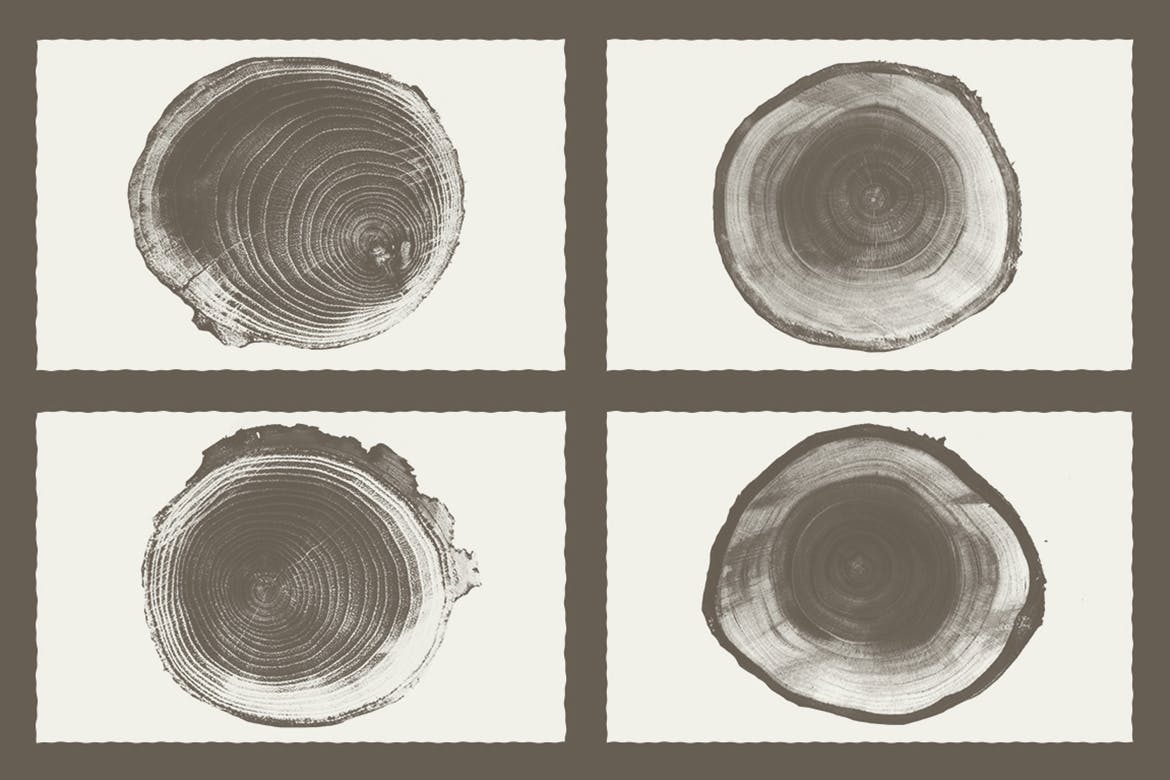 木质年轮纹理背景素材 Wood Texture Pack Background插图2