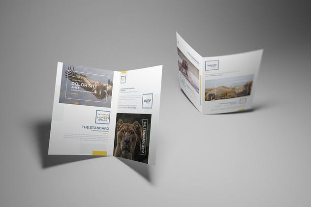 双折页A4规格企业品牌宣传册样机 Bi-Fold A4 Brochure Mockups插图(7)