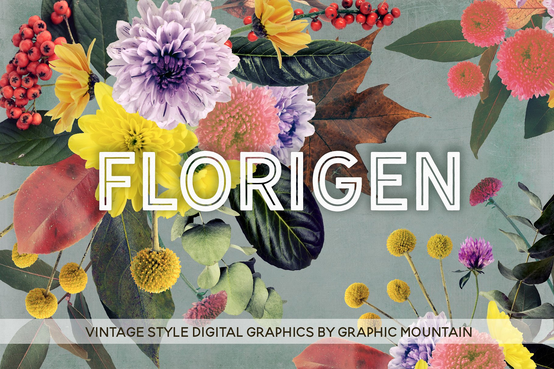复古风格浪漫花集剪贴画集 Florigen Vintage Style Clip Art Set插图