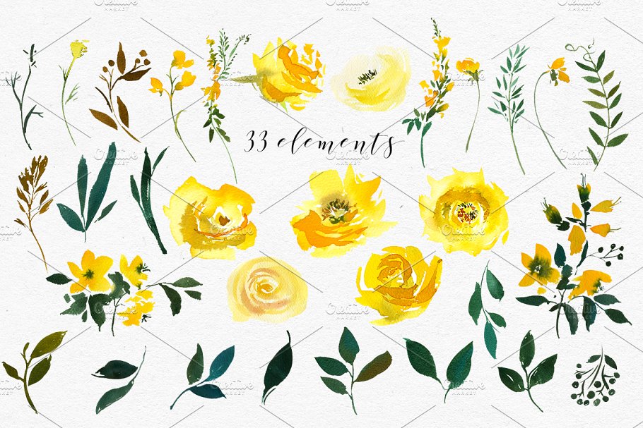 宏伟磅礴水彩花卉剪贴画 Majestic Jaune Watercolor Florals插图(8)