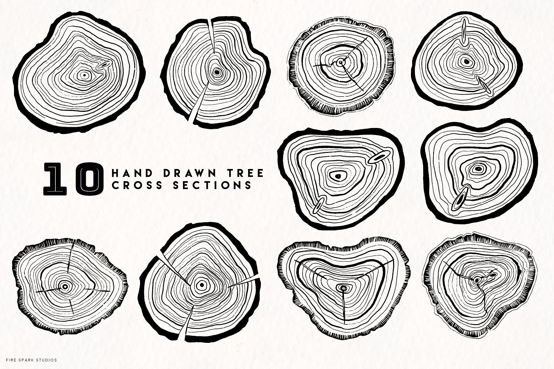 手绘树木年轮矢量图像合集 Timber – Hand Drawn Vector Image Set插图1