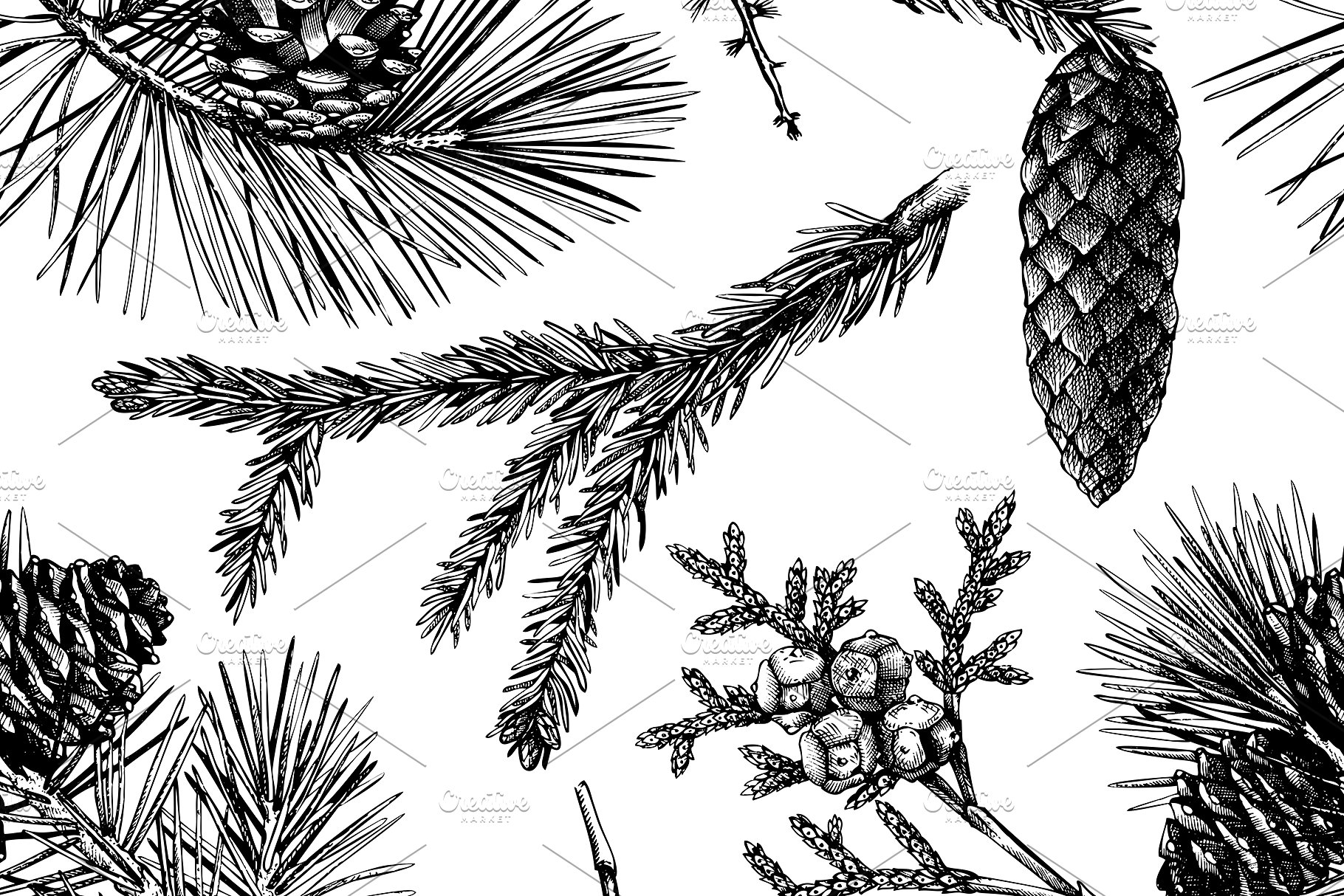 手绘黑白风针叶树木插画 Conifers Trees Set in Black插图(6)